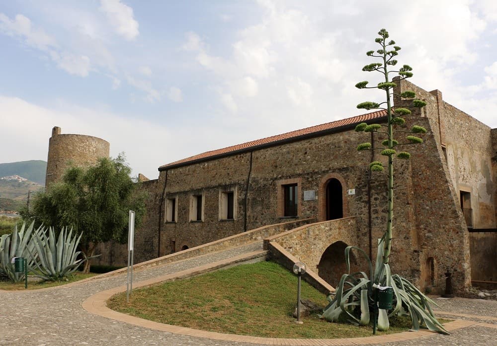 Museo del Cedro