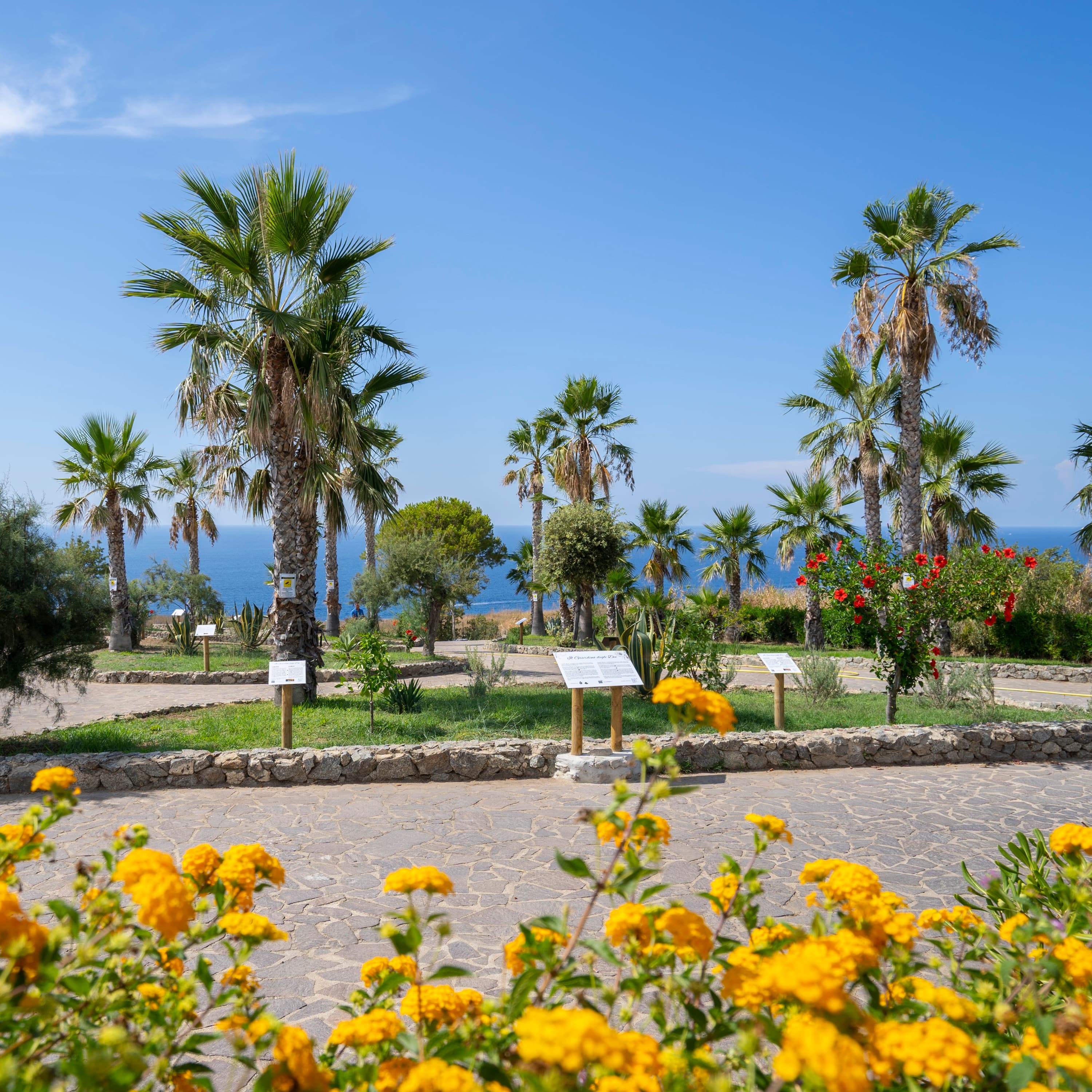 Giardino degli Dei, Capo Vaticano 1