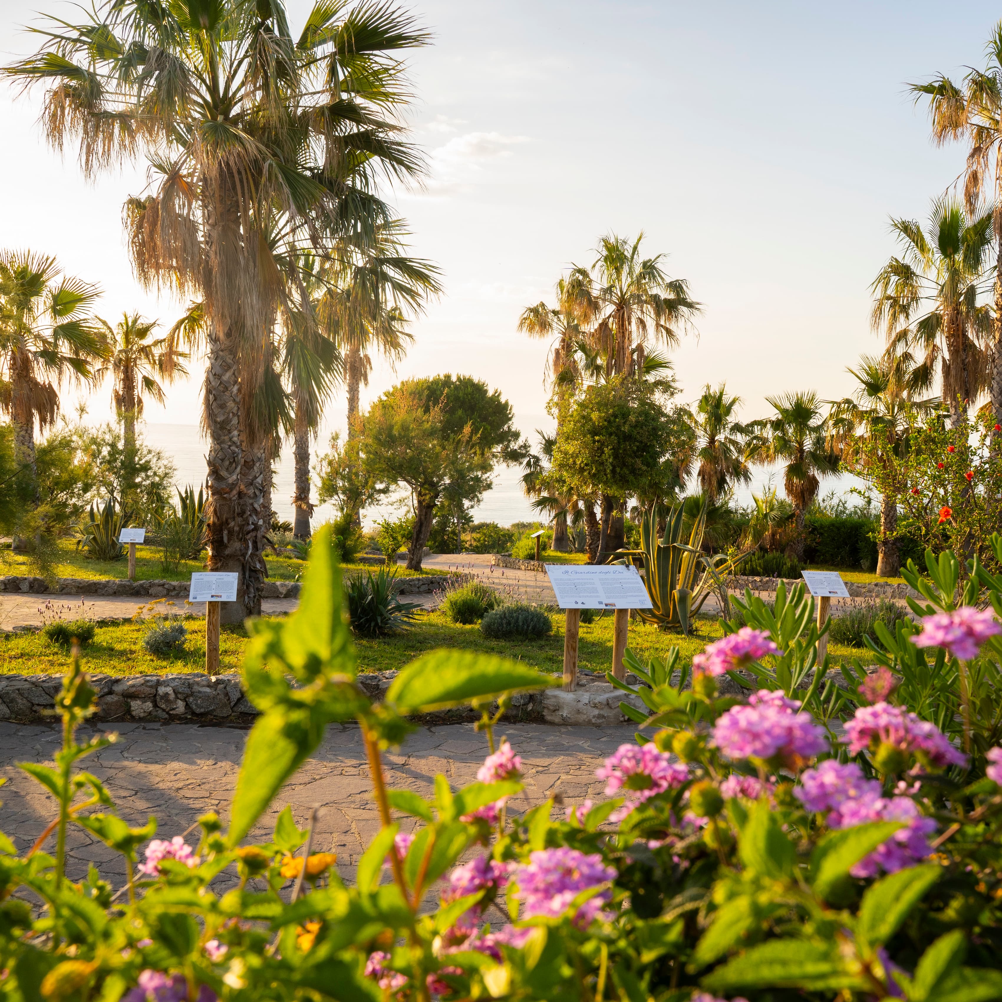 Giardino degli Dei, Capo Vaticano