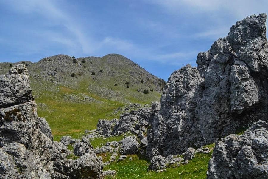 Vetta Monte Cocuzzo - Sentiero Italia (CAI)