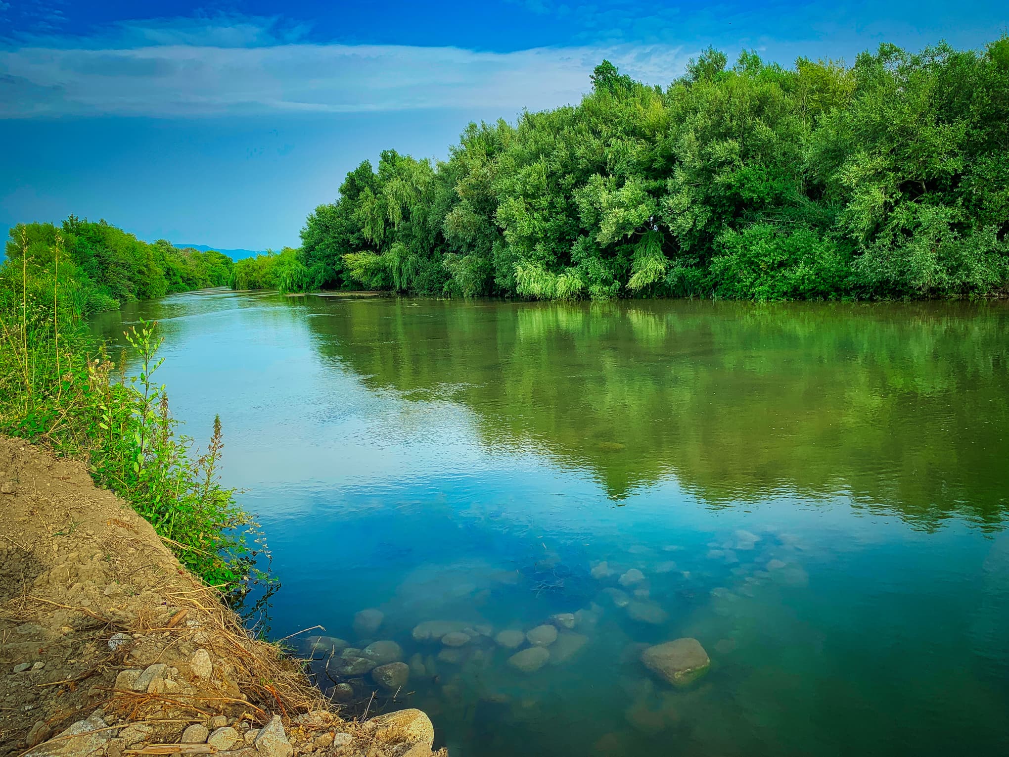 Riserva Naturale "Foce del Fiume Mesima"