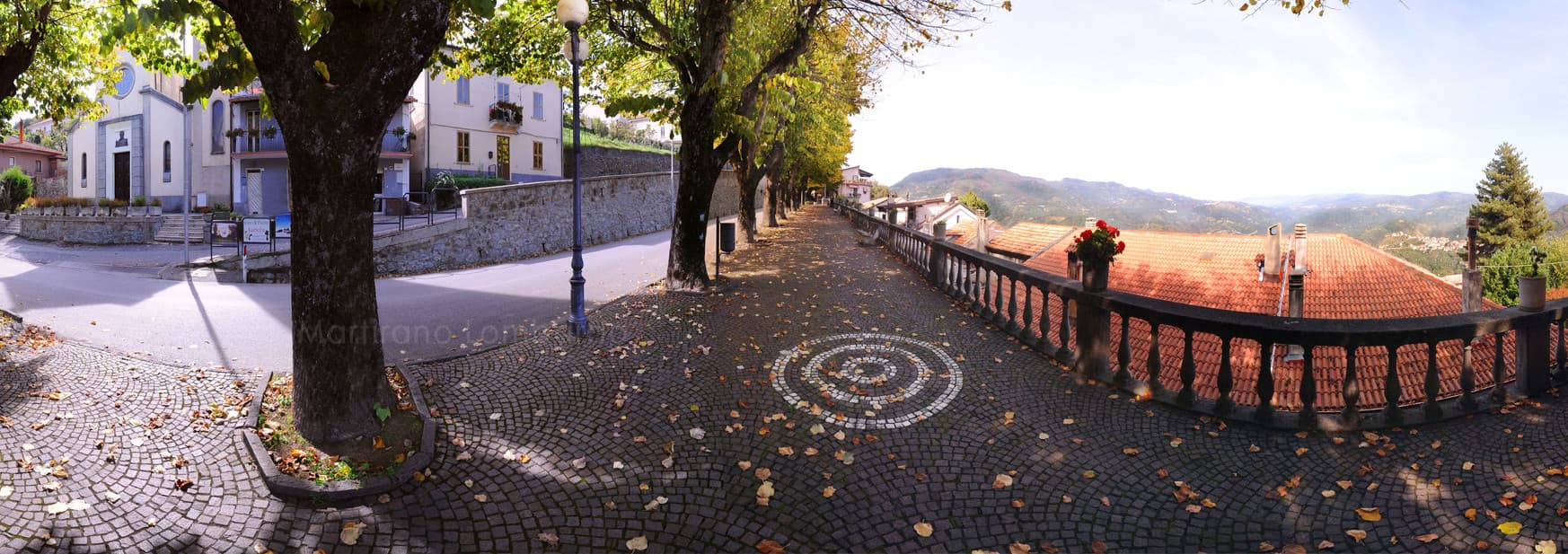 Viale dei Tigli