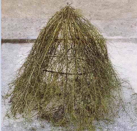 Museo di Etnografia e Folklore Raffaele Corso