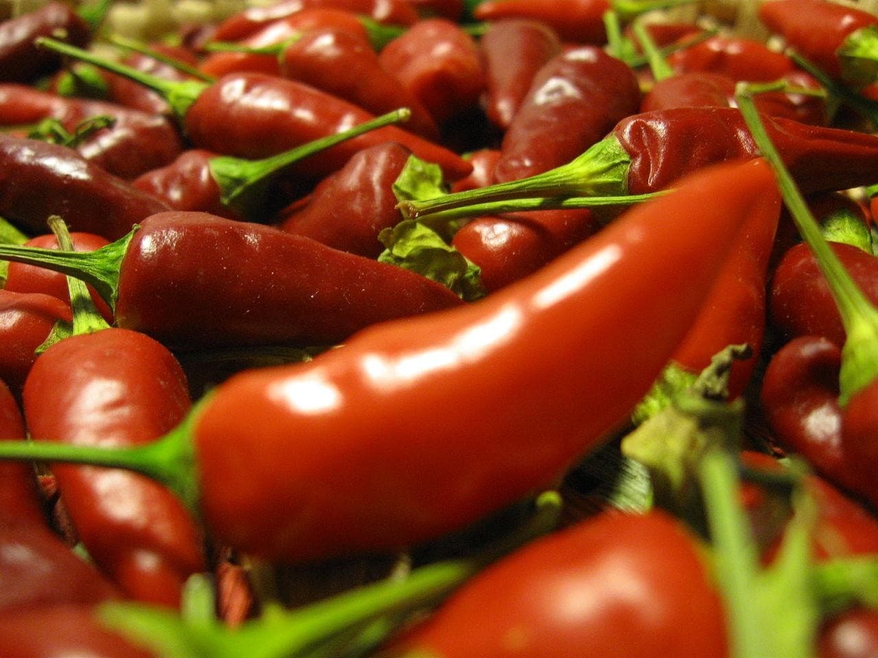 Accademia Italiana del Peperoncino