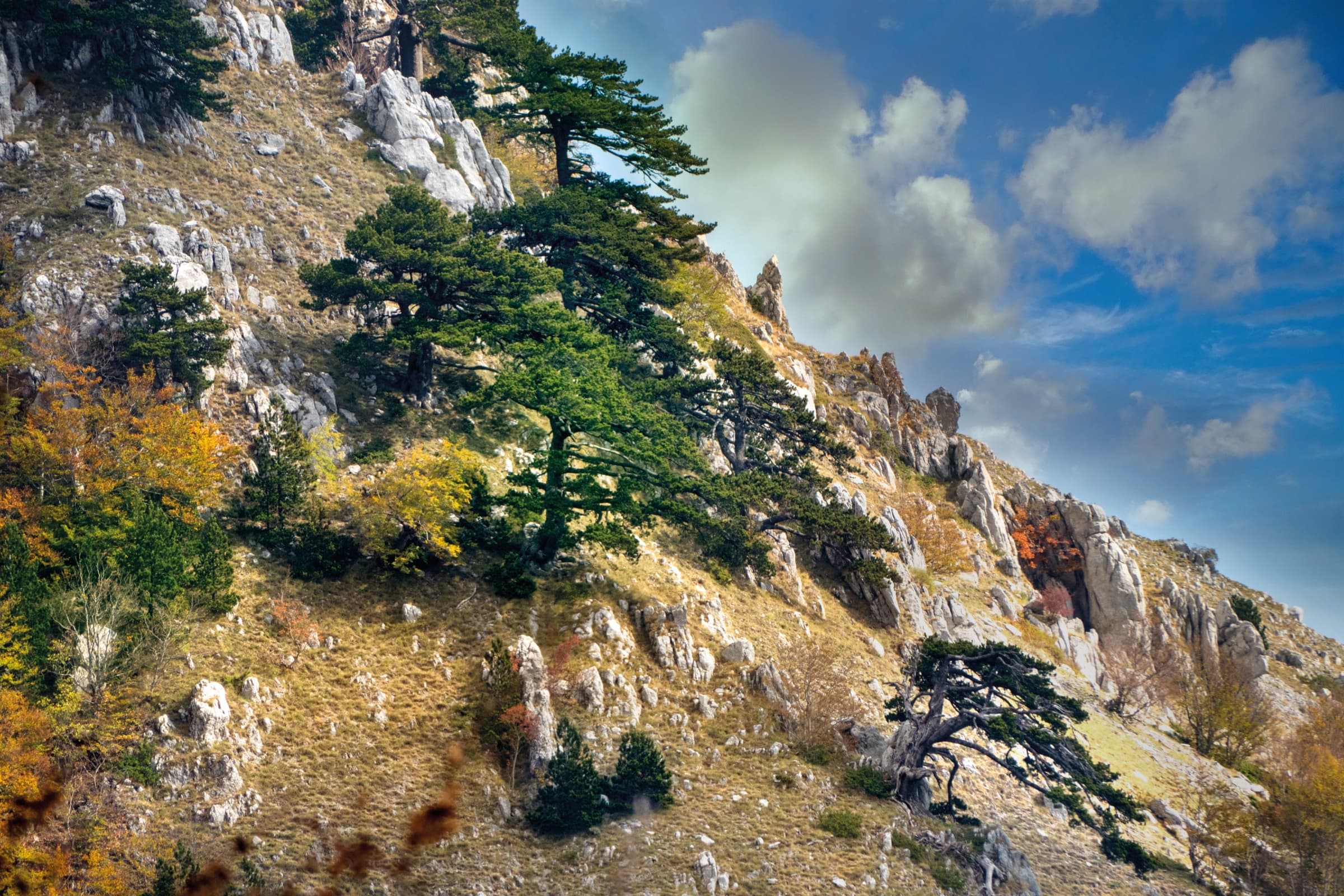 Riserva Naturale "Trenta Coste"